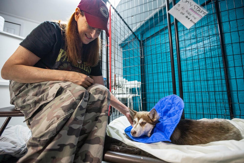 <p>I Heart Dogs volunteer Linda Stahl helps care for a dog after getting spayed by the MSU Veterinary Mobile Unit in Warren, Mich., on July 16, 2026.</p>