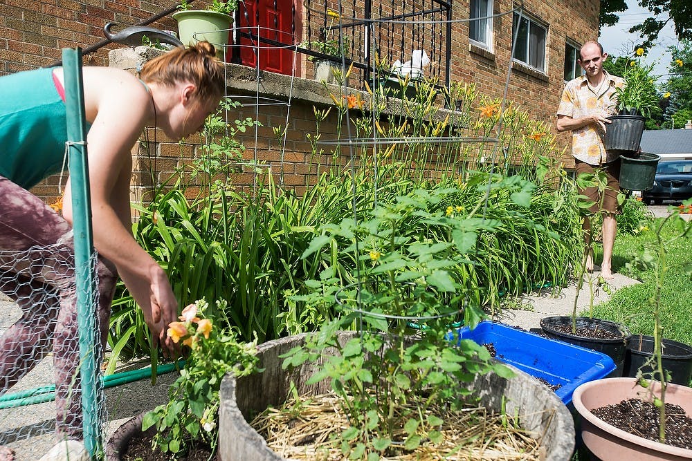 <p>Interdisciplinary studies in health and society senior Jenni Opie, left, and psychology senior Scott Kallek work in the garden at the side of her co-op house June 25, 2014, at Hedrick House, 140 Collingwood. Hedrick House uses the garden to make house dinners that they also share with neighboring co-ops. Danyelle Morrow/The State News</p>