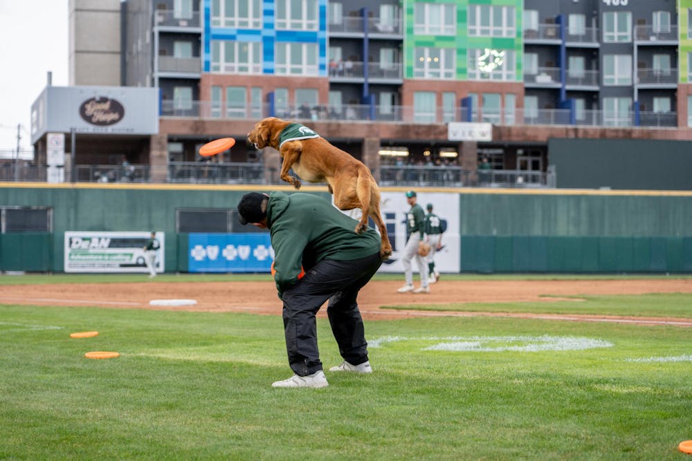<p>Zeke The Wonder Dog jumps off his handler's back to catch a frisbee 2024 during the "Crosstown Showdown" at Jackson Field in Lansing, MI on Wednesday, April 3, 2024. Zeke performed twice to cheers from the crowd and players alike.</p>