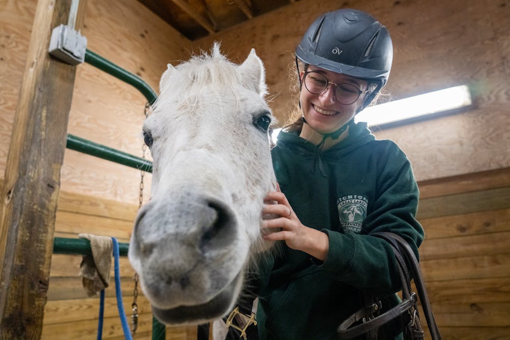 Animal science senior Jessica Crane scratches MSU Gypsy at the Horse Teaching and Research Center in Lansing on Jan. 19, 2023. Horses commonly get itchy after exercise because their sweat mixes with their coat. 