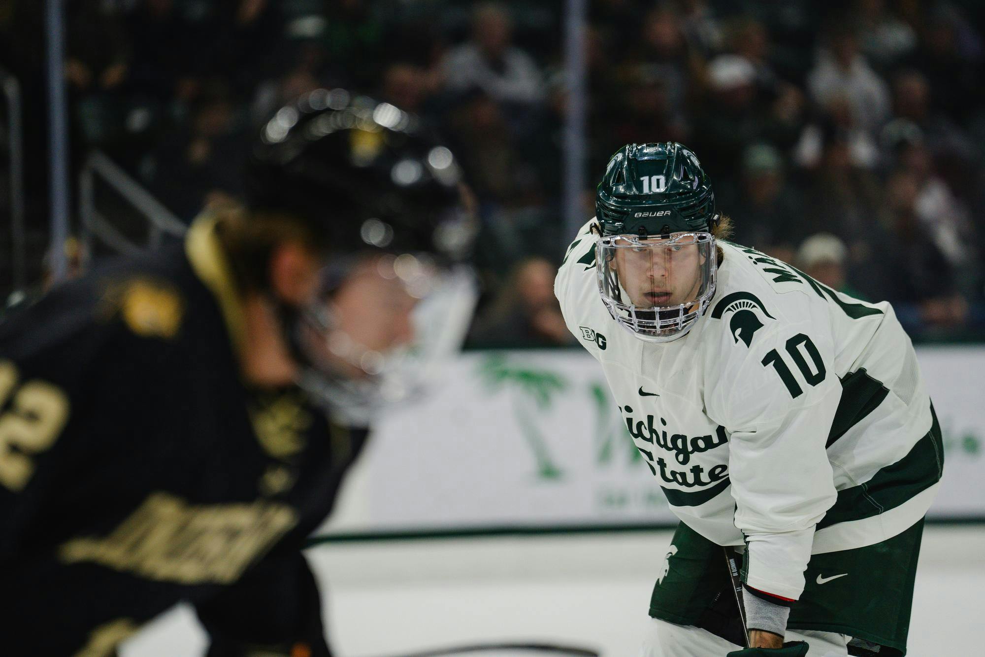 MSU sophomore forward Tommi Mannisto (10) prepares for a face-off during a game against Lindenwood at Munn Ice Arena on Nov. 29, 2024.