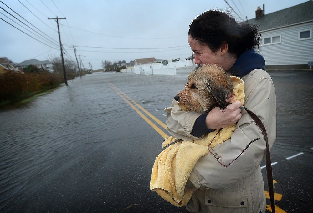 Heather Moline, of Oakdale, in Suffolk County, N.Y., wraps her dog Tokio in a towel as she comes out in the rain to survey the flooding on Browns River Road in Sayville, on Long Island's South Shore, Monday afternoon, October 29, 2012, as Hurricane Sandy gains strength. (Thomas A. Ferrara/Newsday/MCT)