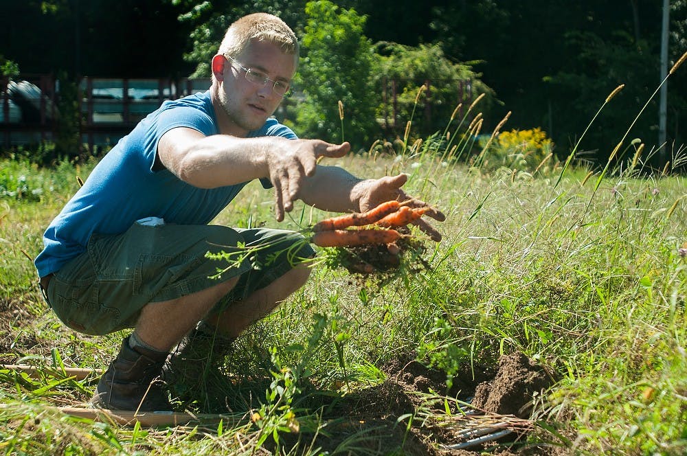 	<p>Organic farmer training student Tyler Troszak piles up carrots, Sept. 3, 2013, at the Student Organic Farm. Produce from the organic farm is sold at the farm stand, <span class="caps">MSU</span> food trucks and is available in some of the dining halls across campus. Danyelle Morrow/The State News</p>
