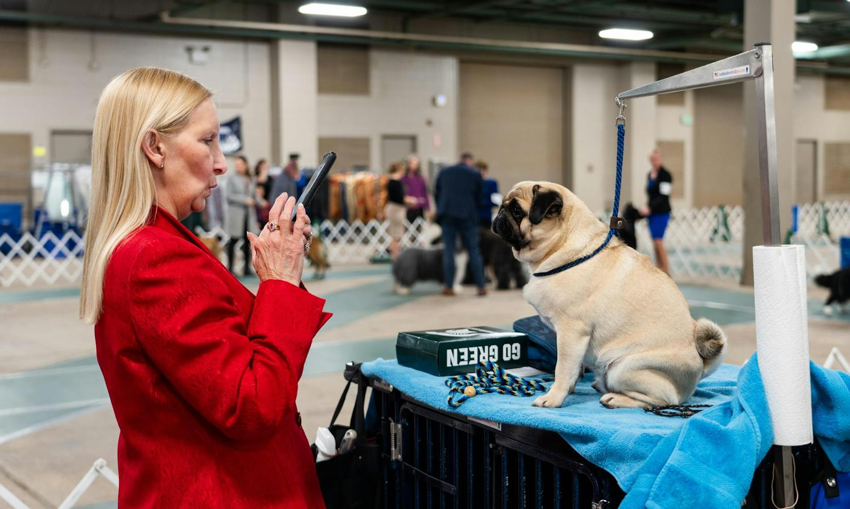 Dogs of all kinds compete at the Winterland Classic Dog Show The