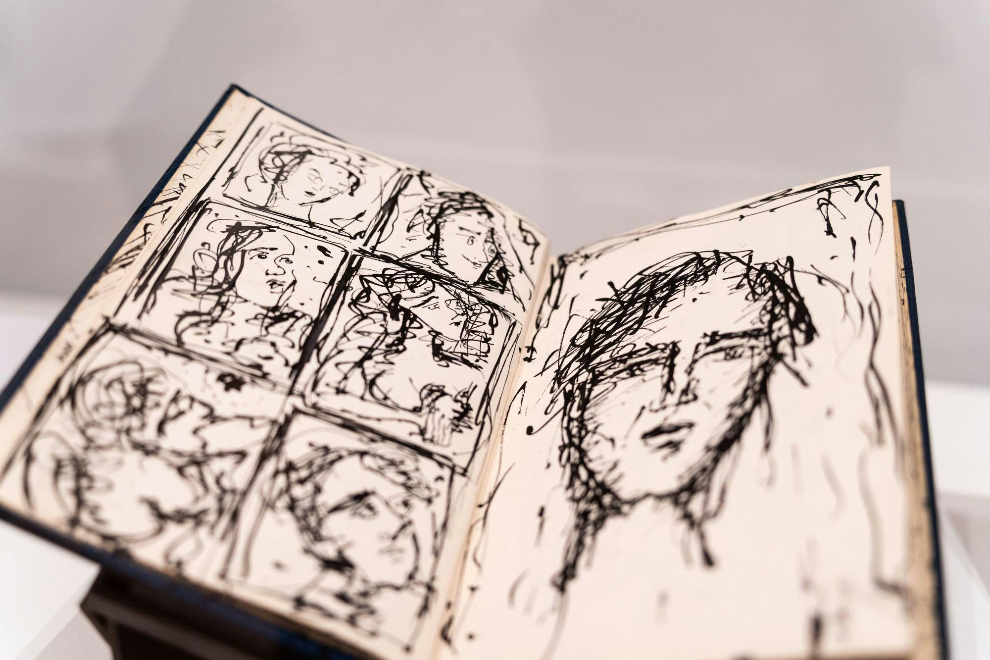 040225-mk-echosofwarelibroad-04