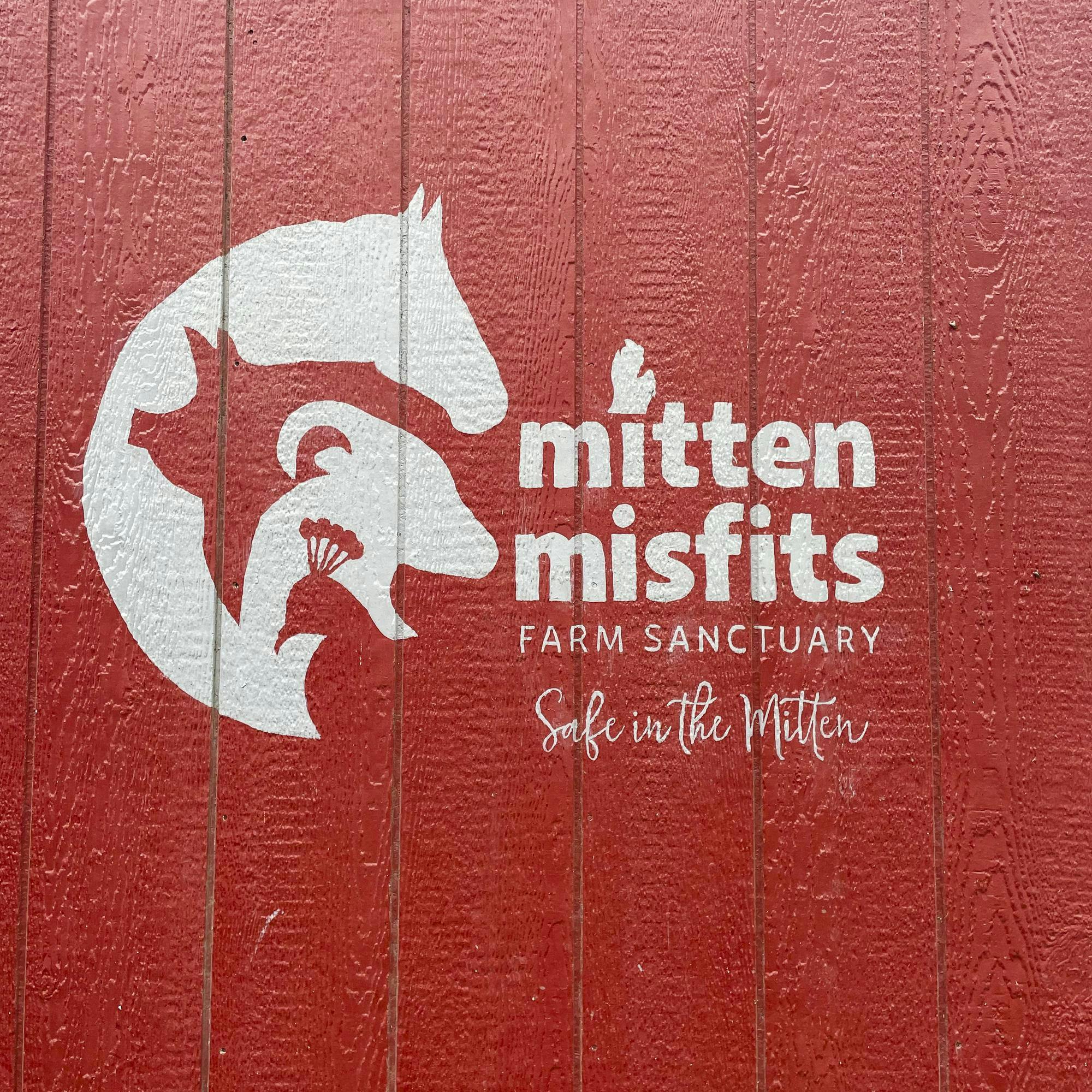 <p>The Mitten Misfits Farm Sanctuary sign on the side of a barn in Eaton County, Mich., on Sunday, Oct. 11, 2026.</p>