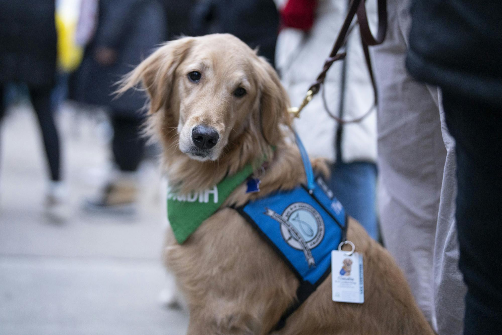 Thousands gathered at the Rock on Farm Lane on Wednesday, Feb. 16, 2023 to remember Brian Fraser, Alexandria Verner and Arielle Anderson, the three victims of Michigan State University’s mass shooting on Feb. 13. Therapy dogs waited to comfort people throughout the night. 