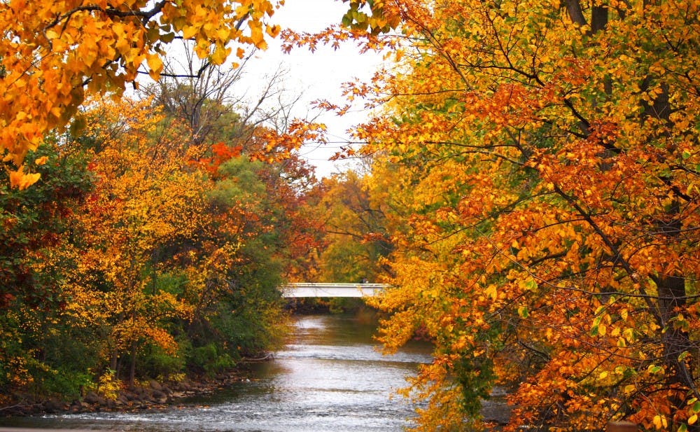 <p>Kate Dean's photo of the Red Cedar in the Fall won an honorable mention in last year's East Lansing Community Photo Contest. She was an MSU senior at the time. Photo courtesy of Mikell Frey.</p>
