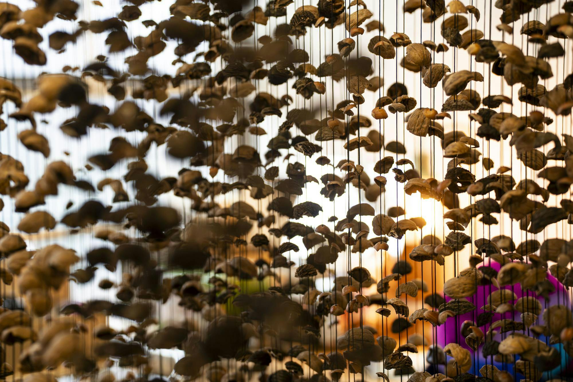 260404-haileystory-rjl-09