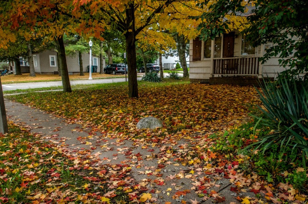 <p>Leaves cover a yard of a house on the corner of Gunson Street and Ann Street.</p>