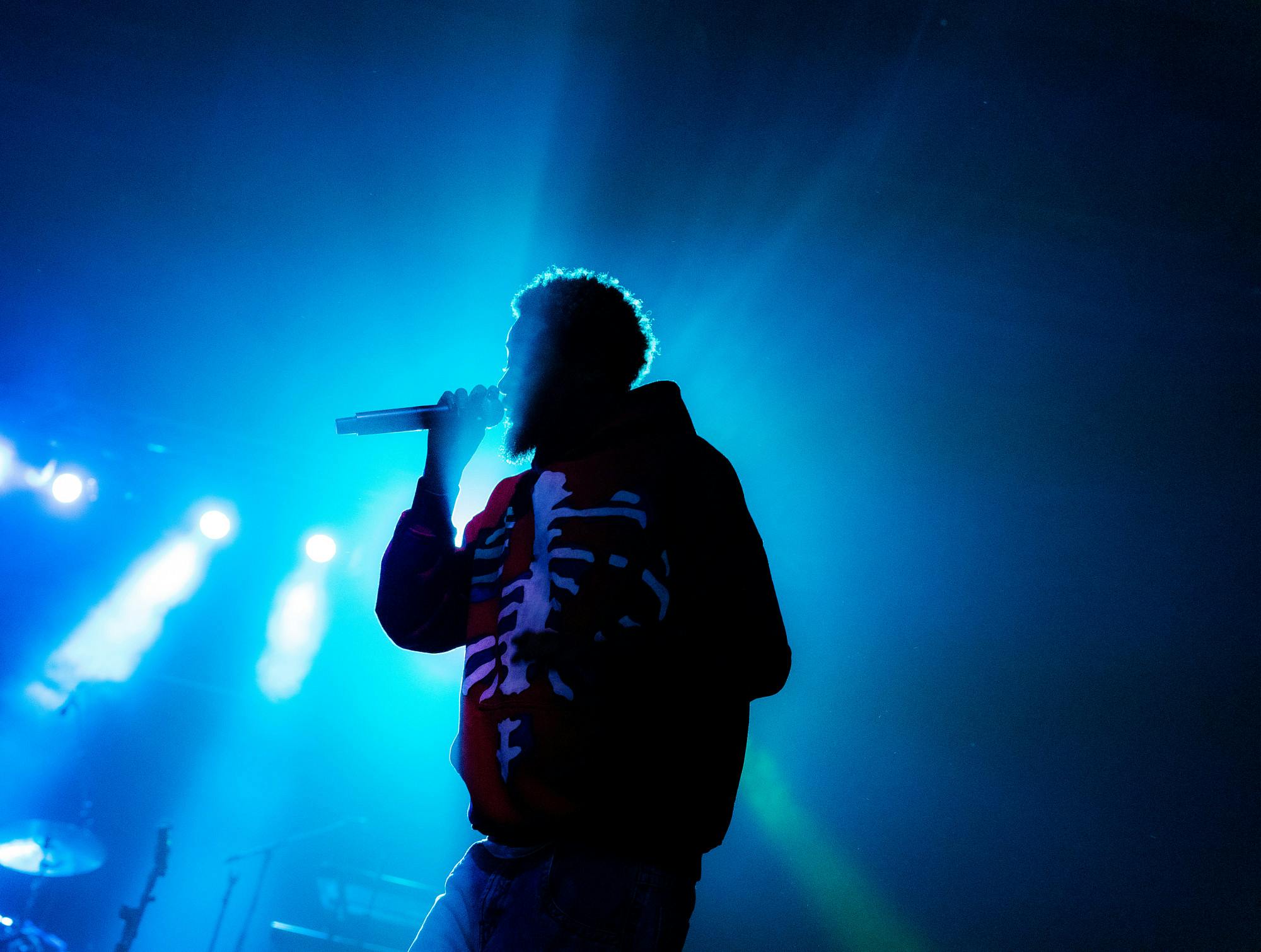 MSU Spring Concert featuring Hippo Campus and Danny Brown The State News