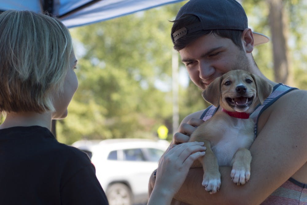Advertising sophomore Tommy Randazzo and chemistry sophomore Lexi Langtry share smiles with a playful puppy during East by East Lansing Charity Festival on Sept. 24, 2017, at the Summer Circle Theater. This was a charity concert on campus comprised of student artists to raise money for the Leukemia and Lymphoma Society, and the Capital Area Humane Society. 