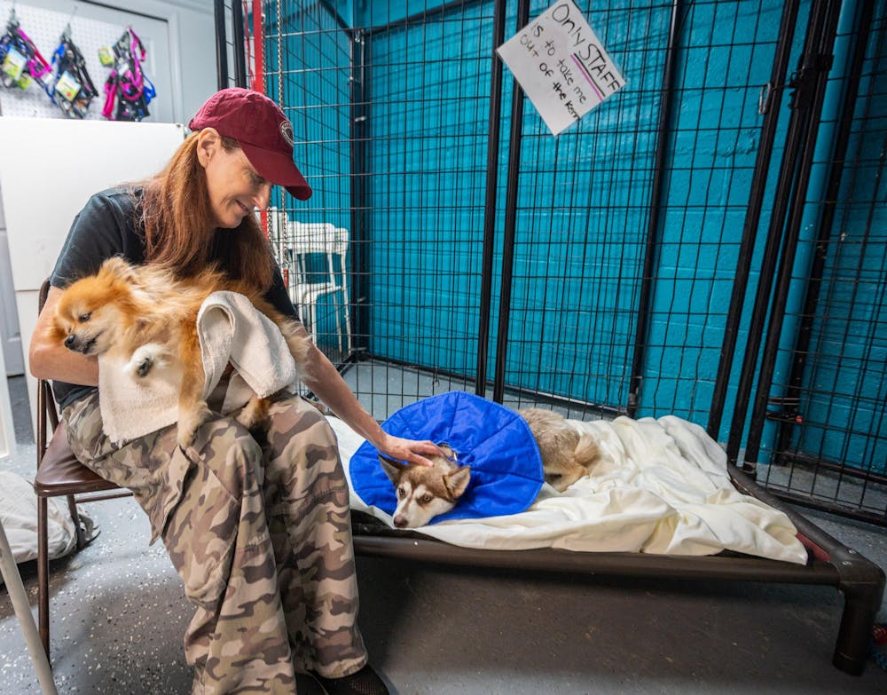<p>I Heart Dogs volunteer Linda Stahl helps care for two dogs after their operations by the MSU Veterinary Mobile Unit in Warren, Mich., on July 16, 2026.</p>