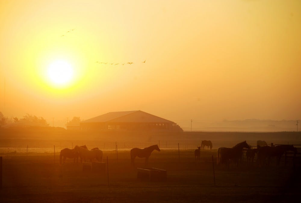 <p>The sun rises over the farm land on the southern part of campus.</p>