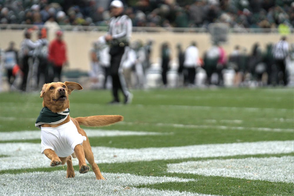 <p>Fan favorite Zeke chases a frisbee on the end line during the match against Rutgers on Nov. 12, 2022.﻿</p>