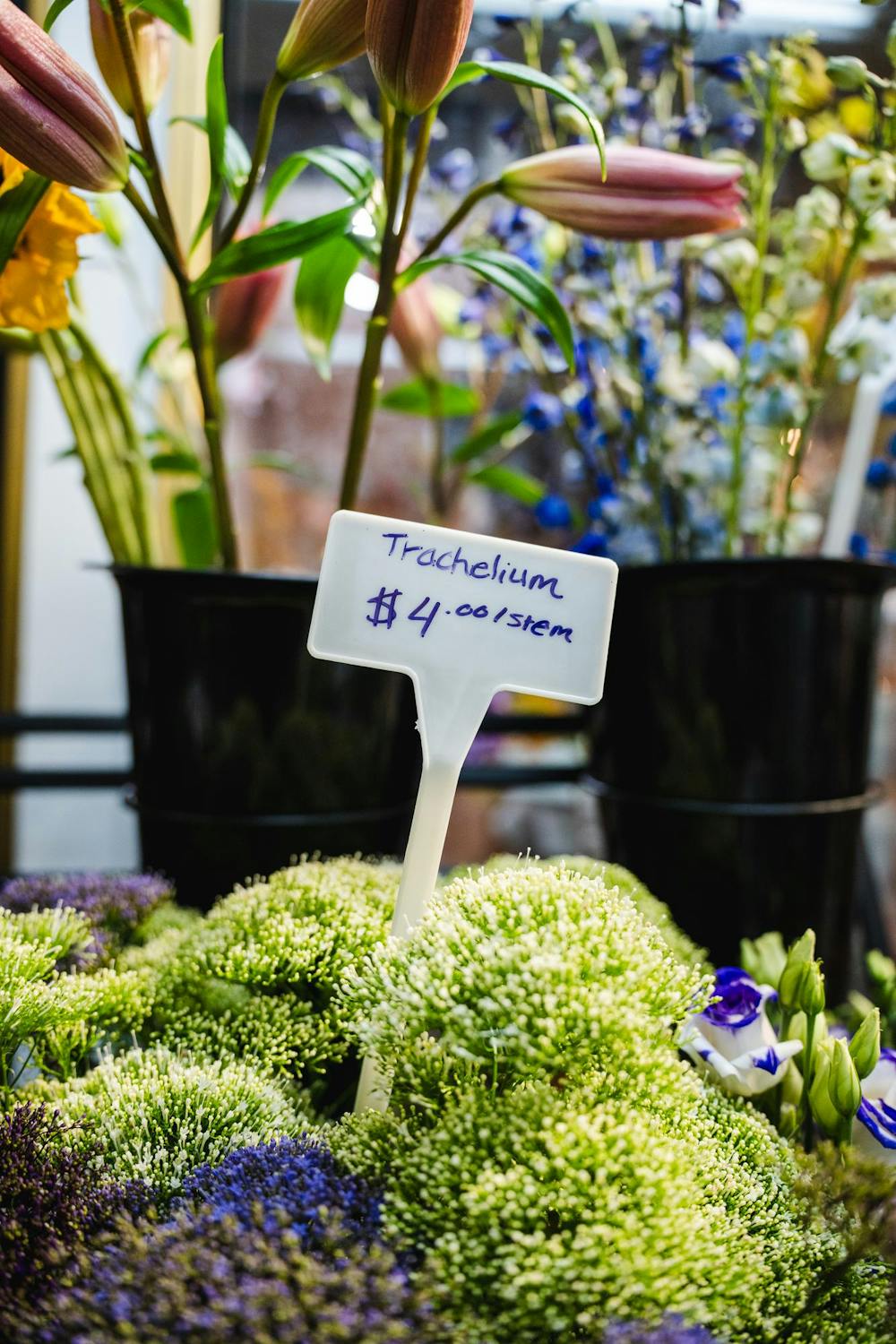 Flowers await their next home in the cold fridge at B/A florist on April 12, 2024.