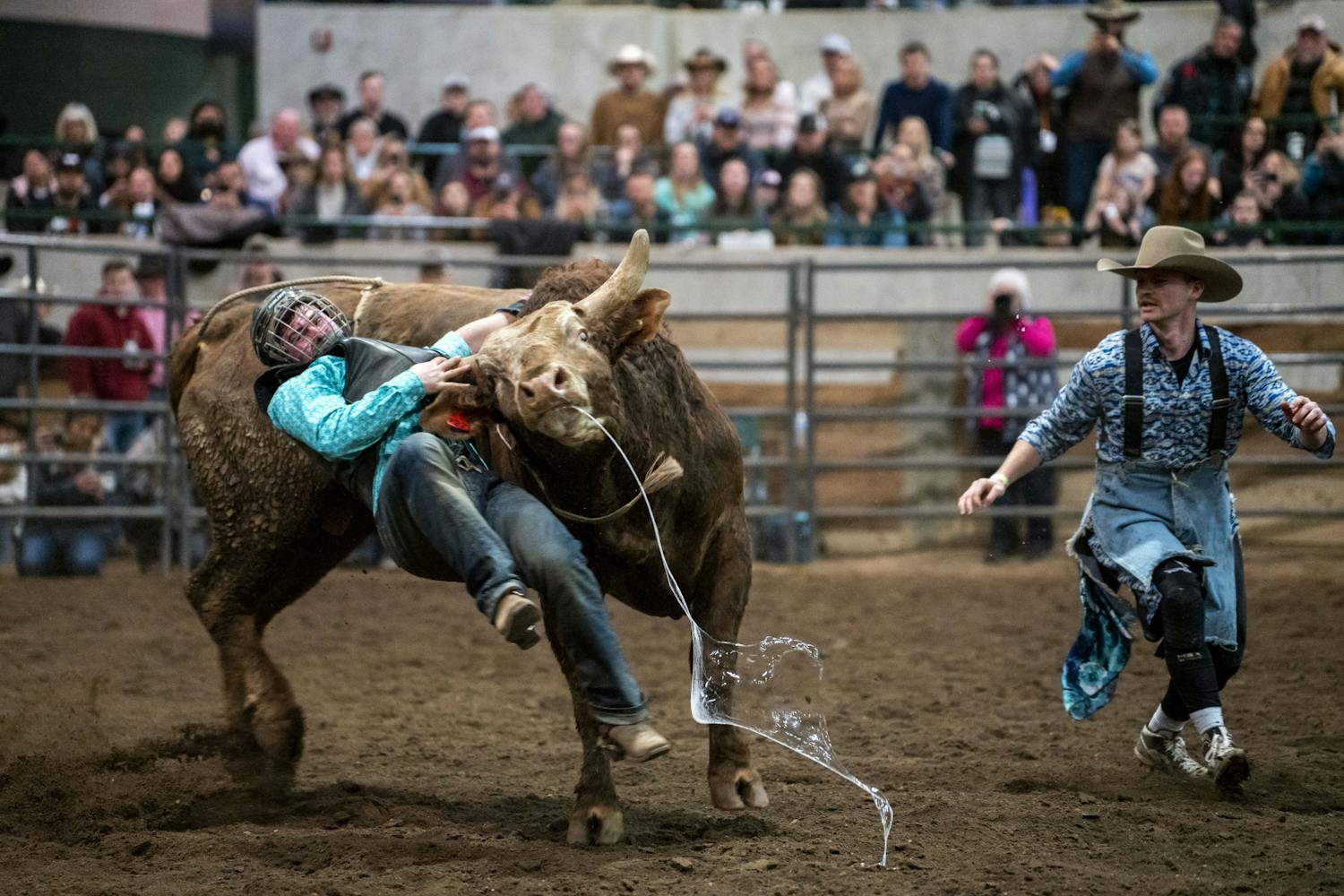 Spartan Stampede Rodeo Feb. 1820, 2022 The State News