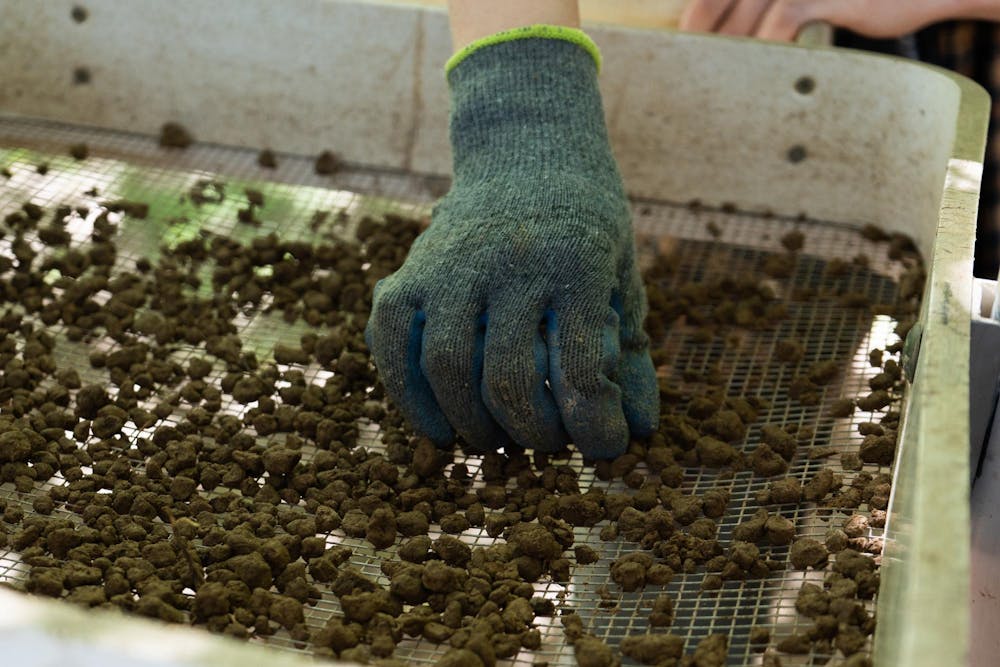 <p>A member of the Campus Archaeology Program uses a sifting screen while working on the old observatory site in East Lansing, Mich., on June 15, 2026.</p>