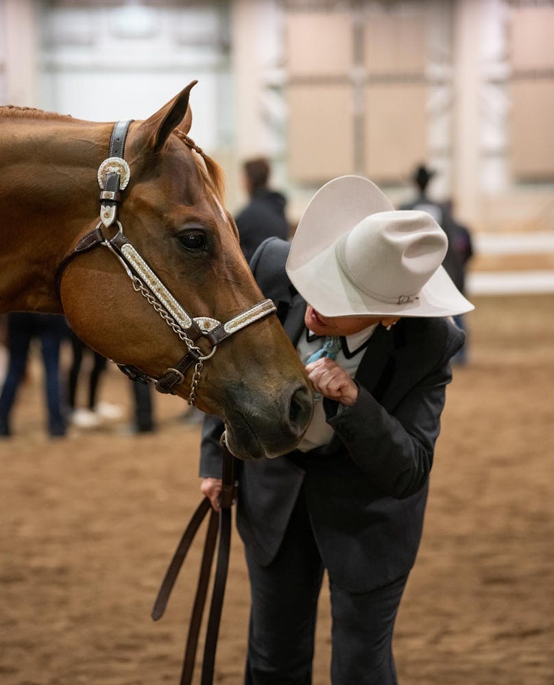 Competitors show off their horses in Apple Blossom Classic at MSU ...