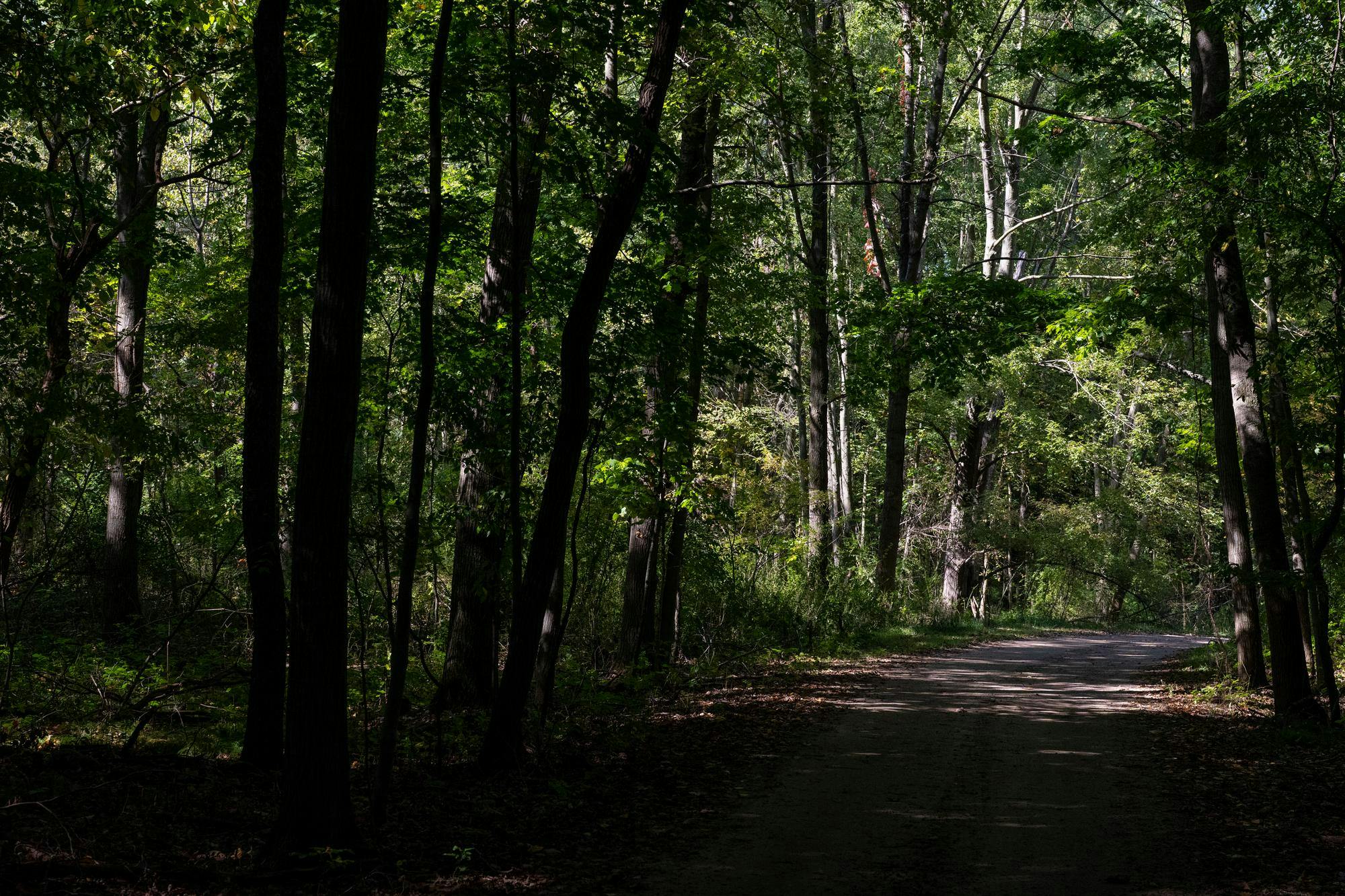 09272025-paranormal-rodriguez-as-11