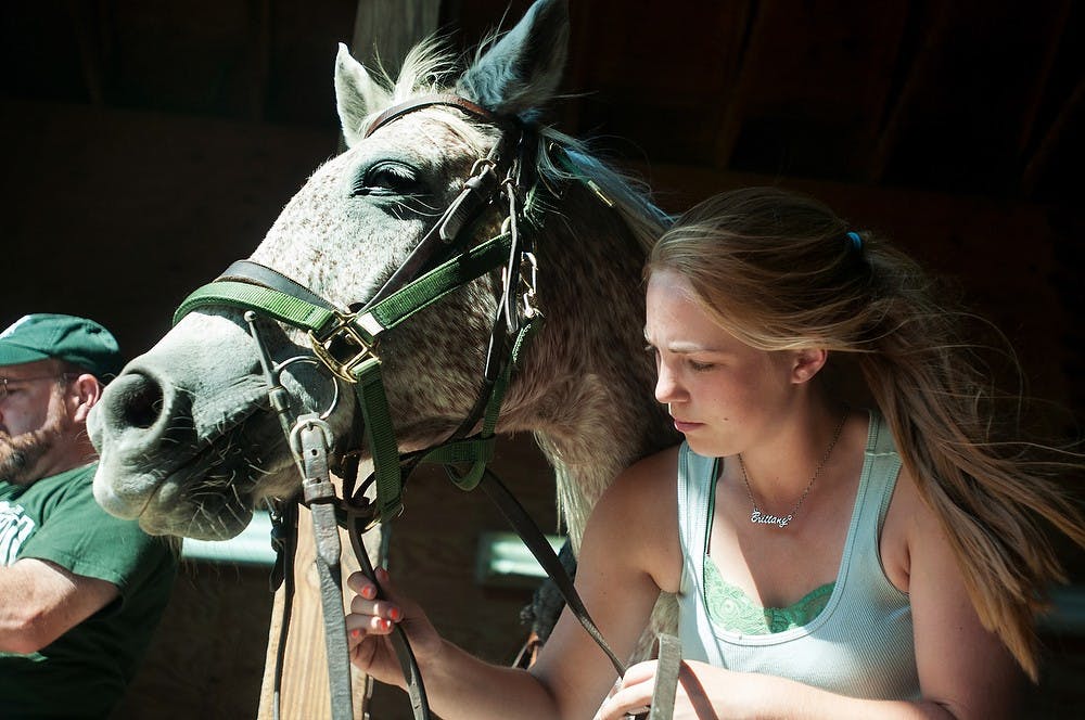 	<p>Brittany Green, a first year student in <span class="caps">MSU</span>&#8217;s horse management program, tacks up her horse during a novice horsemanship class Sept. 10, 2013, at the Horse Teaching and Research Center in Lansing. Students brushed the horses before tacking them up to get accustomed to basic horsemanship. Danyelle Morrow/The State News</p>