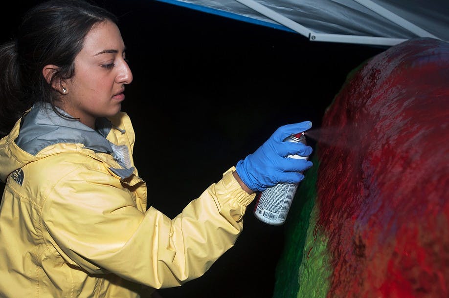 	<p>Armenian Club president, special education junior Helen Attar, spray paints the rock on Farm Lane on Tuesday. The club set up a tent above the rock so that the rain would not wash the fresh paint away. Katie Stiefel/The State News</p>