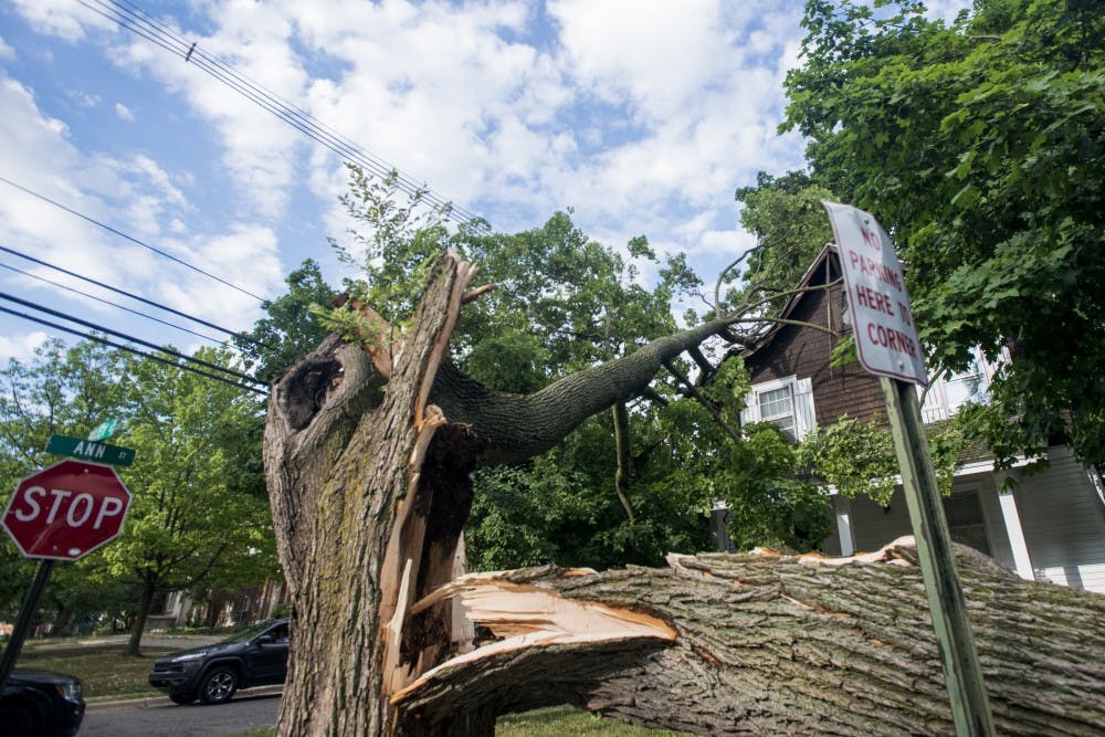 A fallen tree on a house pictured on July 8, 2016 on Bailey St.