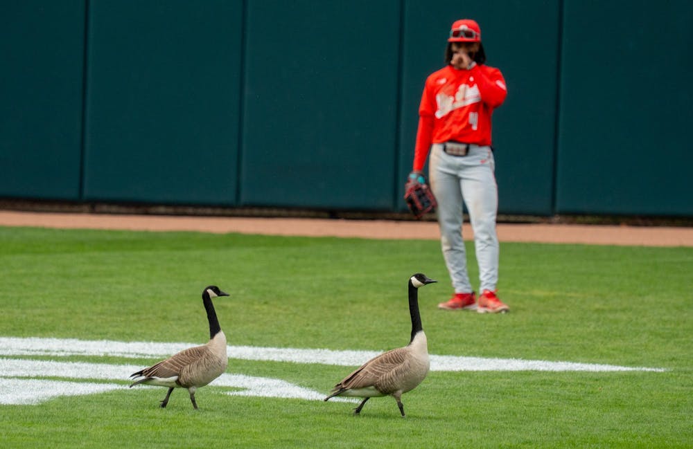 <p>Geese walk across the field at McLane Stadium on April 19, 2025.</p>