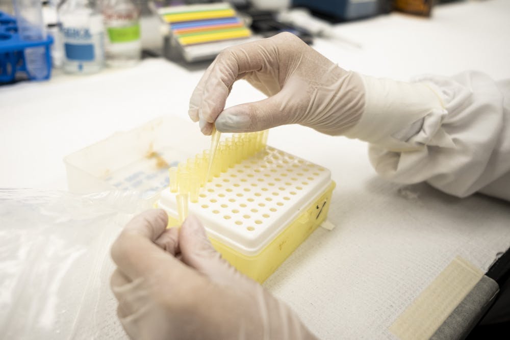 <p>Maya Salamey fills pipette tip containers for sterilization at her summer campus job working at the Contreras lab at the Vetrinary Medical Center on MSU&#x27;s campus on June 29, 2021. Salamey works on research on stem cells at this lab.</p>