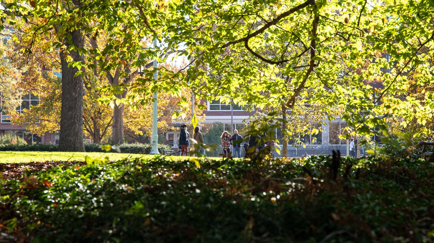 The family of Brendan Santo organized a volunteer search via Facebook, occurring from 11 a.m. to dusk. Volunteers came together on Nov. 6 to look for Brendan Santo, who went missing on campus on Oct. 29. Shot on Nov. 6, 2021.