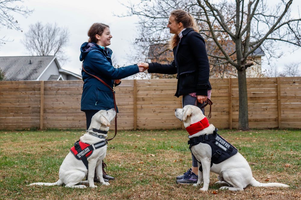 online-printdogsforgreta4