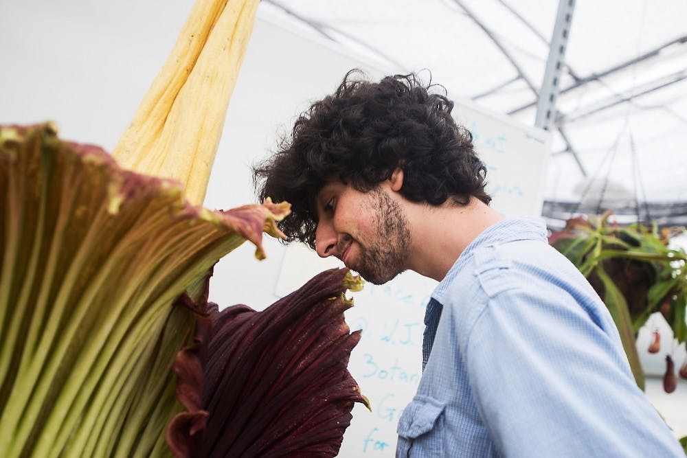 <p>Okemos resident Ilya Beskin smells the corpse flower June 24, 2014, at the Plant Science Greenhouse. The last time the flower bloomed at Michigan State was in 2010. Corey Damocles/The State News</p>