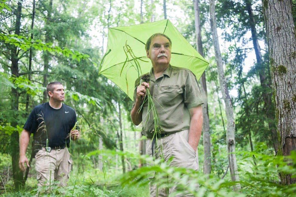 Rain pours into the forest as plant biology professor Frank Telewski, right, and Ludington, Mich. Detective J.B. Wells spend the day on July 19, 2012 to gather evidences for a murder investigation. Justin Wan/The State News