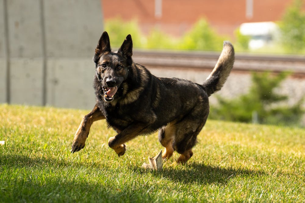 k9s-060822-sjk-05