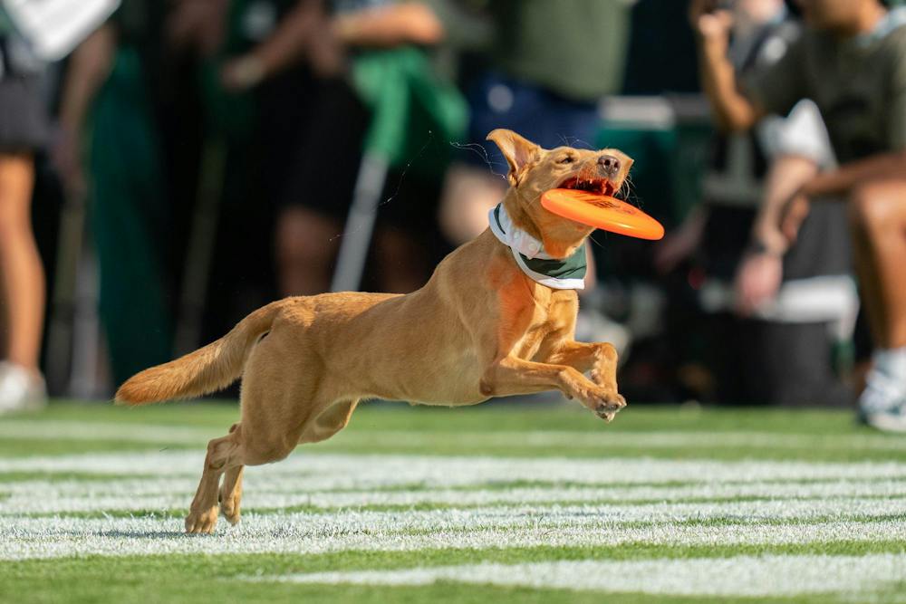 <p>Zeke the Wonderdog takes the field at Spartan Stadium to entertain the crowd as Eastern Michigan takes their final timeout of the first half in East Lansing, Mich., on Sept. 12, 2026.</p>