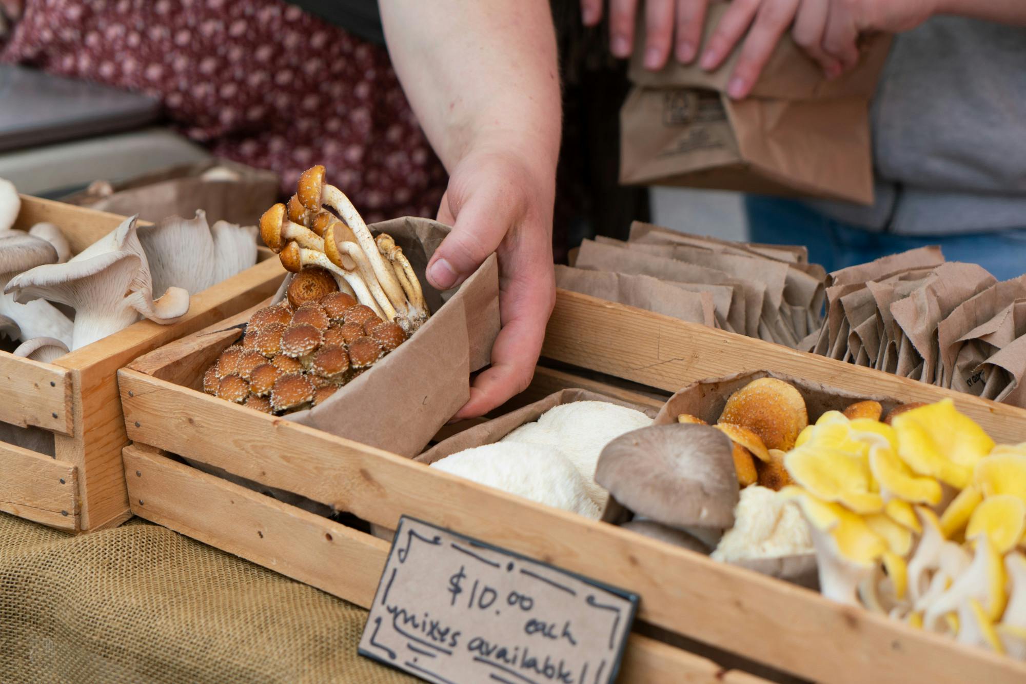 Jess Phillips of Mycophile's Garden grabs mushrooms for an order at the East Lansing farmer's market on June 5, 2022.