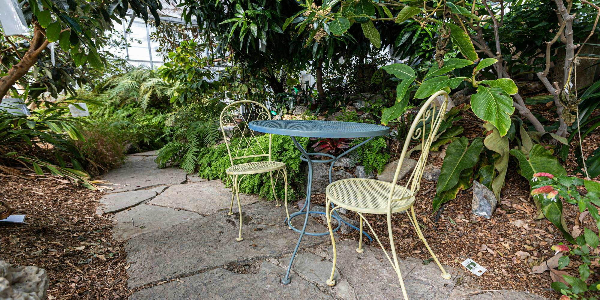 20260312-greenhouse-conservatory-cs-7