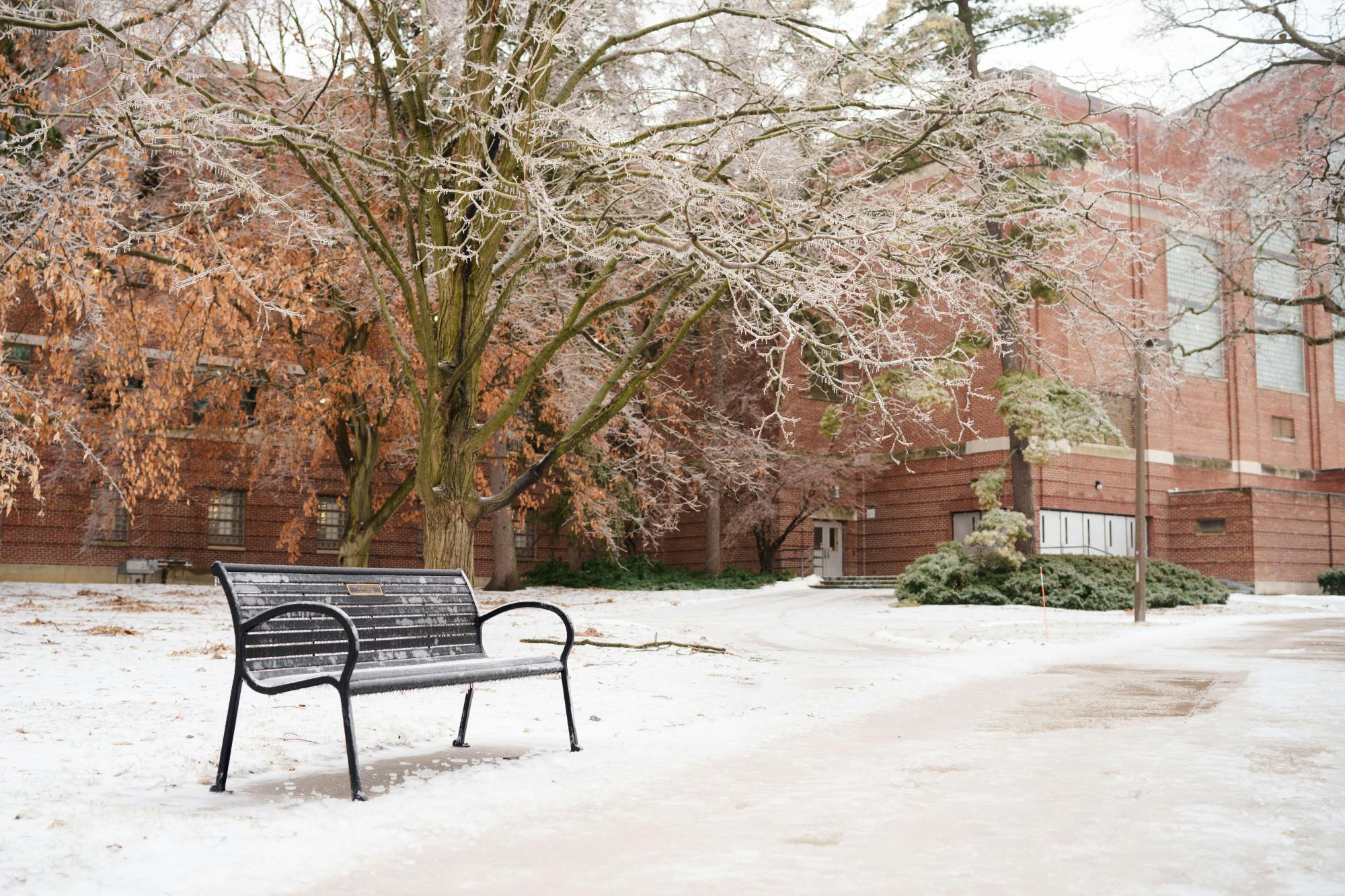 <p>Michigan State University campus is frozen over after a winter storm on Feb. 23, 2023.</p>