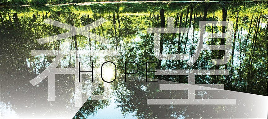 hope-curtain3