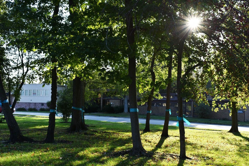 <p>Teal ribbons were displayed on trees outside of the East Lansing Public Library prior to President Samuel Stanley Jr. speaking about sexual assault on Oct. 8, 2019.</p>