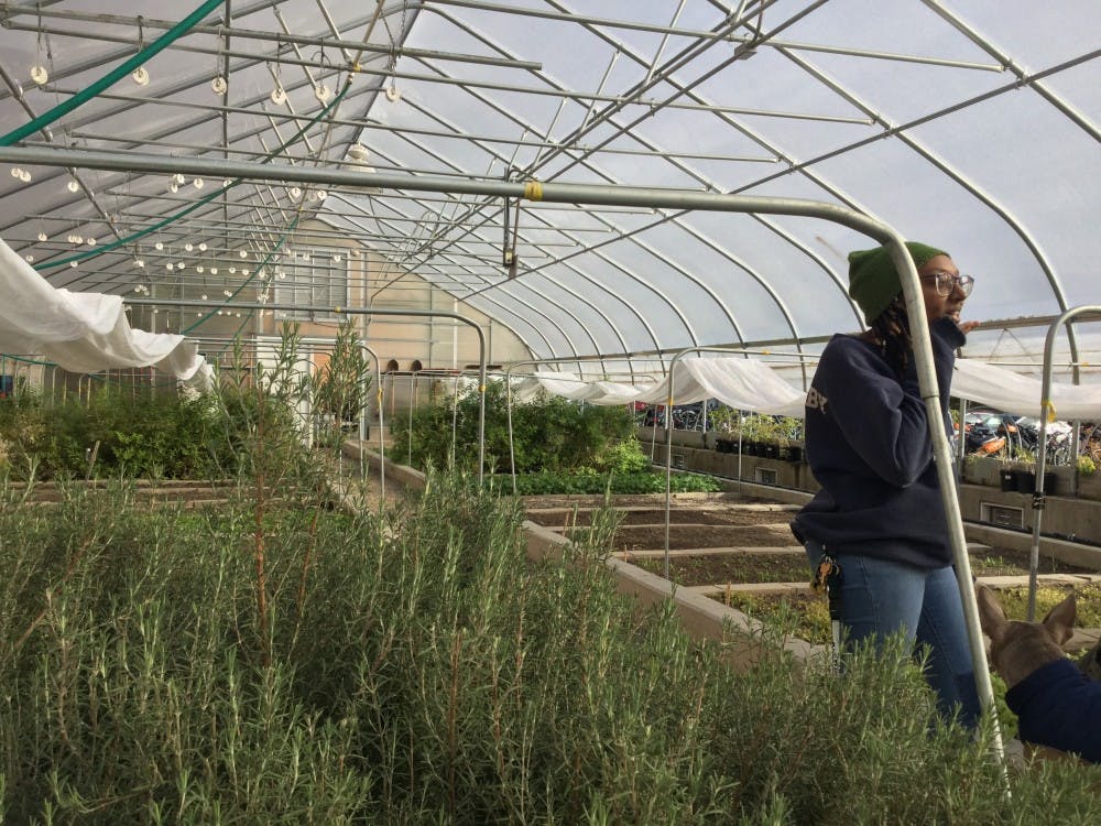 <p>Zoology junior Dalanei Willoughby stands inside Bailey Greenhouse on Nov. 3. Although not an employee at Bailey, Willoughby was there to provide "emotional support" as workers prepared the greenhouse for the winter. <strong>Maxwell Evans | The State News</strong></p>