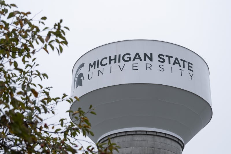 MSU professor Susan Masten named to expert panel - The State News