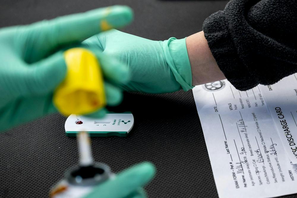<p>A blood sample from a dog is tested for heartworm during a free veterinary clinic hosted by the Michigan Community Street Clinic at Reutter Park in Lansing, Mich., on Sunday, Sept. 27, 2026.</p>