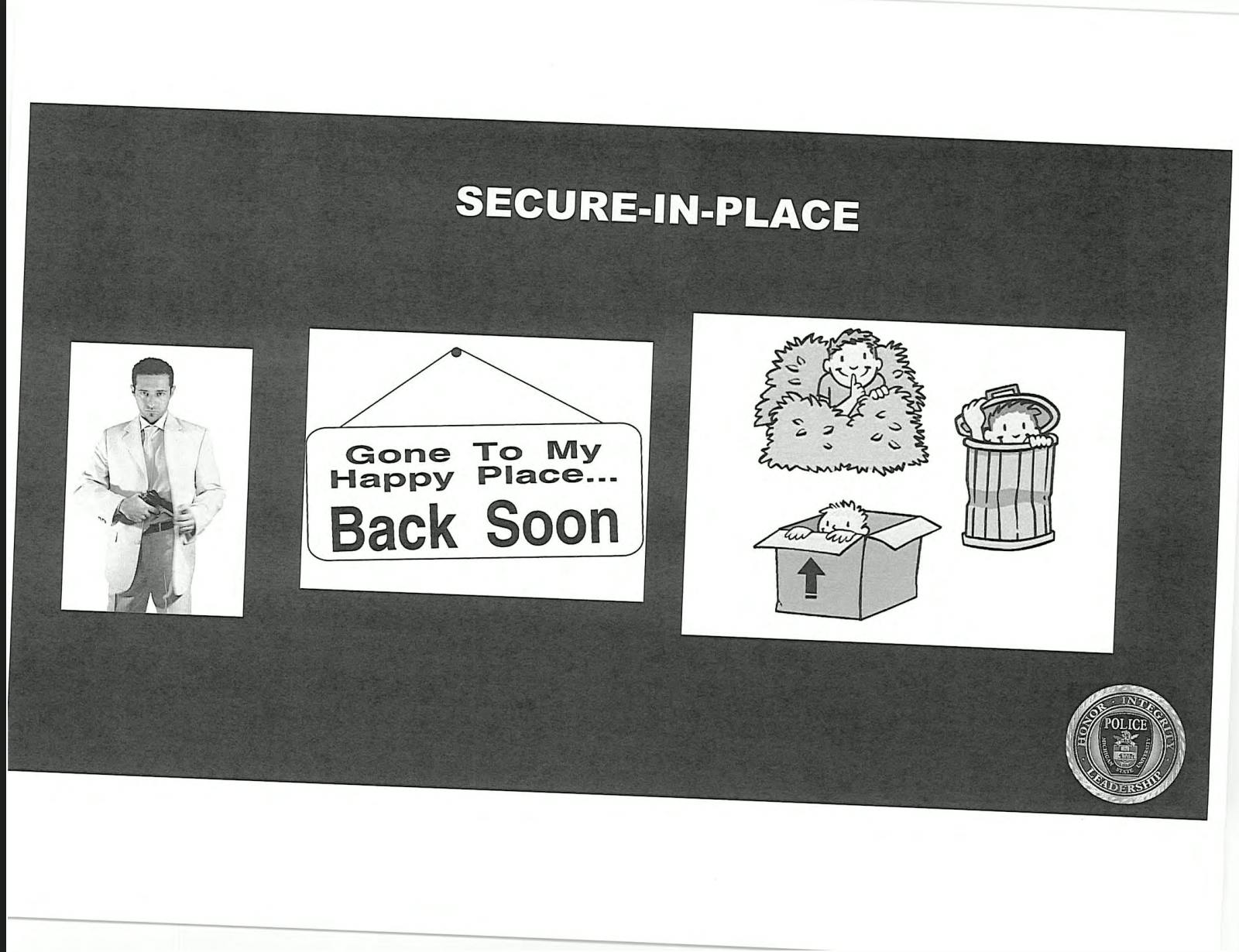 secure-in-place-graphic