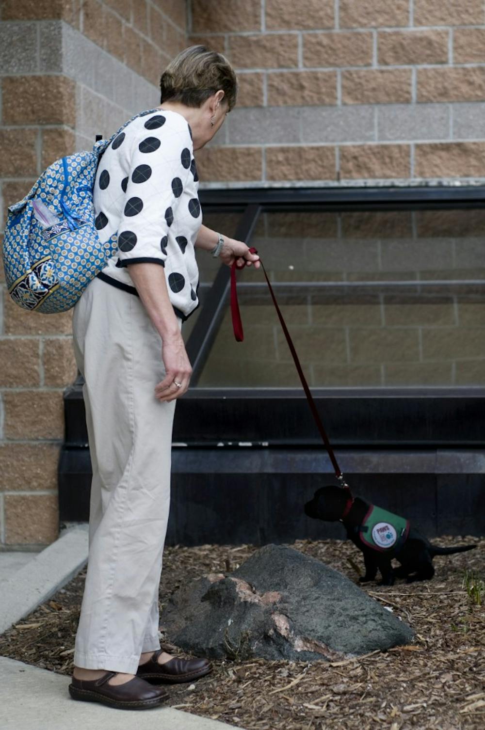 Carol McEllhiney-Luster holds Bess' leash as she goes to the bathroom after service Sunday at University United Method Church, 1120 S. Harrison Road. McEllhiney-Luster said service was longer than usual this Sunday, and because Bess is still so young, she was quick to get her outside afterward. Matt Radick/The State News