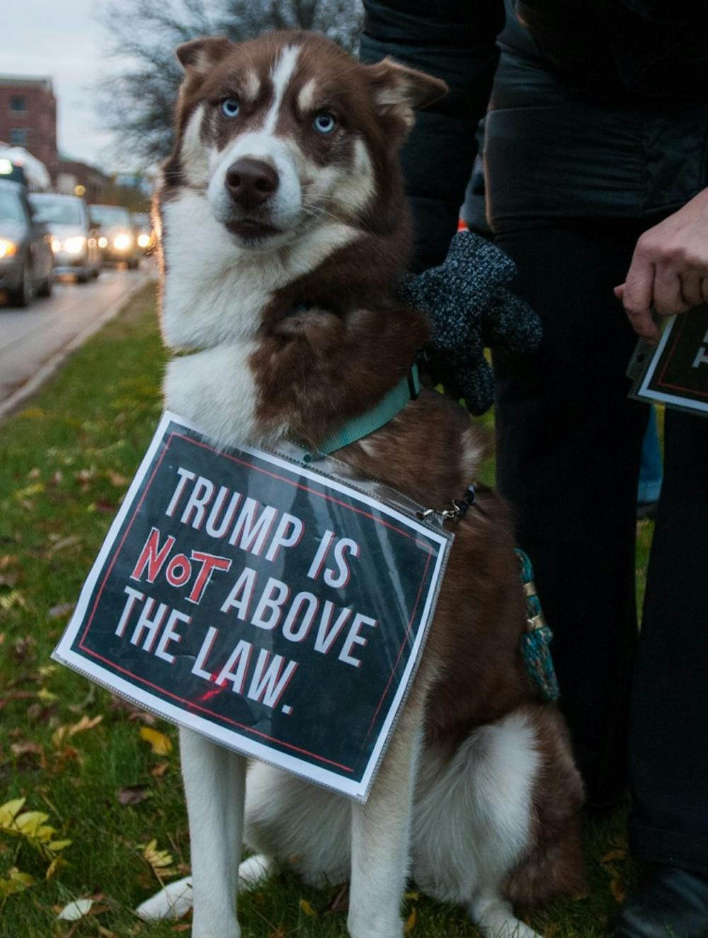 Zehnder, 2, sports a protest sign during a "Trump is Not Above the Law" protest at Grand River and Abbott in East Lansing on Nov. 8, 2018.