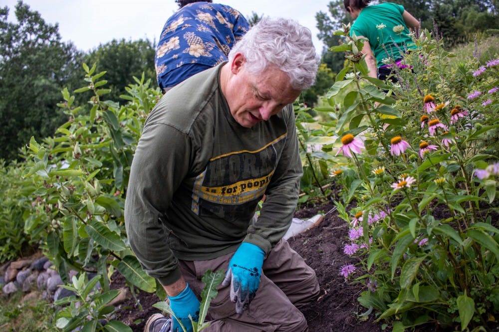Peter DeGuire tosses a weed away from the garden in Harrison Meadows Park on July 14, 2018. Volunteers were at the park in the morning removing weeds and invasive species from the garden, which is made to be butterfly-friendly.