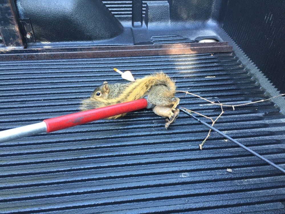 <p>Local squirrel shot by arrow awaits treatment and release on Sept. 15, 2016. Courtesy of&nbsp;Michael Belligan and Gillian Van Stratt.</p>