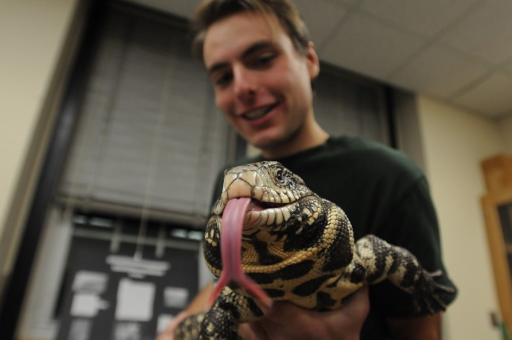 <p>Zoology senior Sam Kumming handles Ruckus, an Argentine Tegu, on Nov. 12, 2014, at the Natural Science Building during the Herpetology Club's meet and greet. Kumming said he will miss Ruckus as this is his last year at MSU. Dylan Vowell/The State News</p>