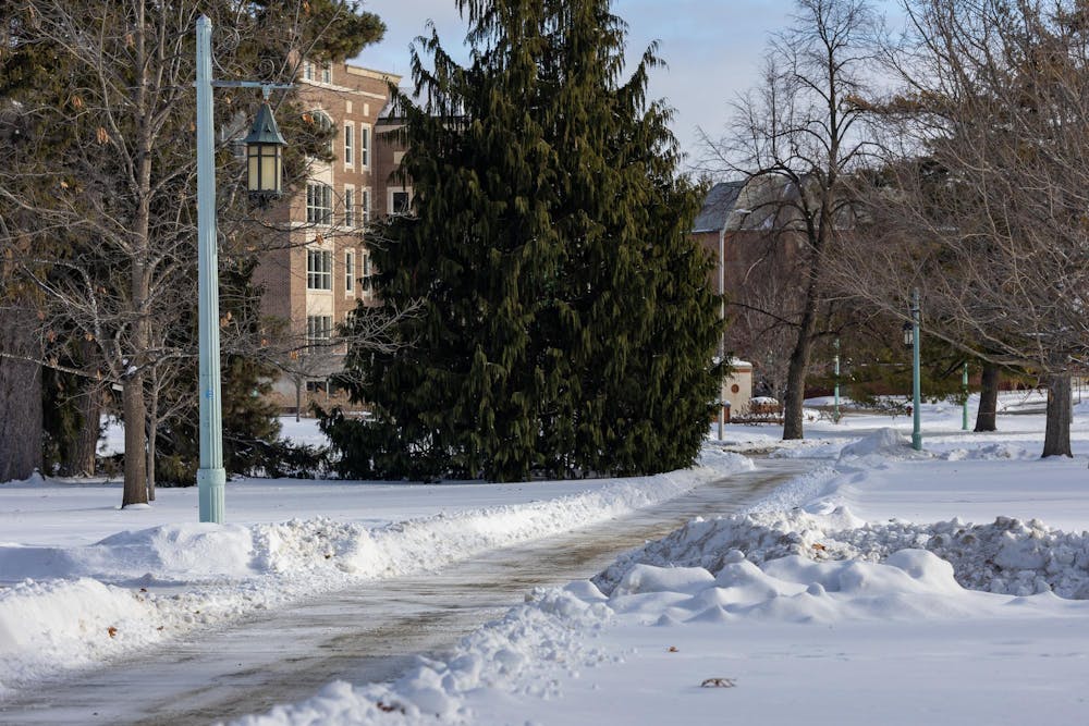 <p>Plowed paths of Michigan State University in East Lansing, Michigan, on Saturday, Feb. 7, 2026.&nbsp;</p>